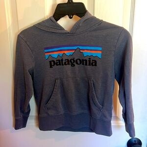 Kids Patagonia hoodie gray